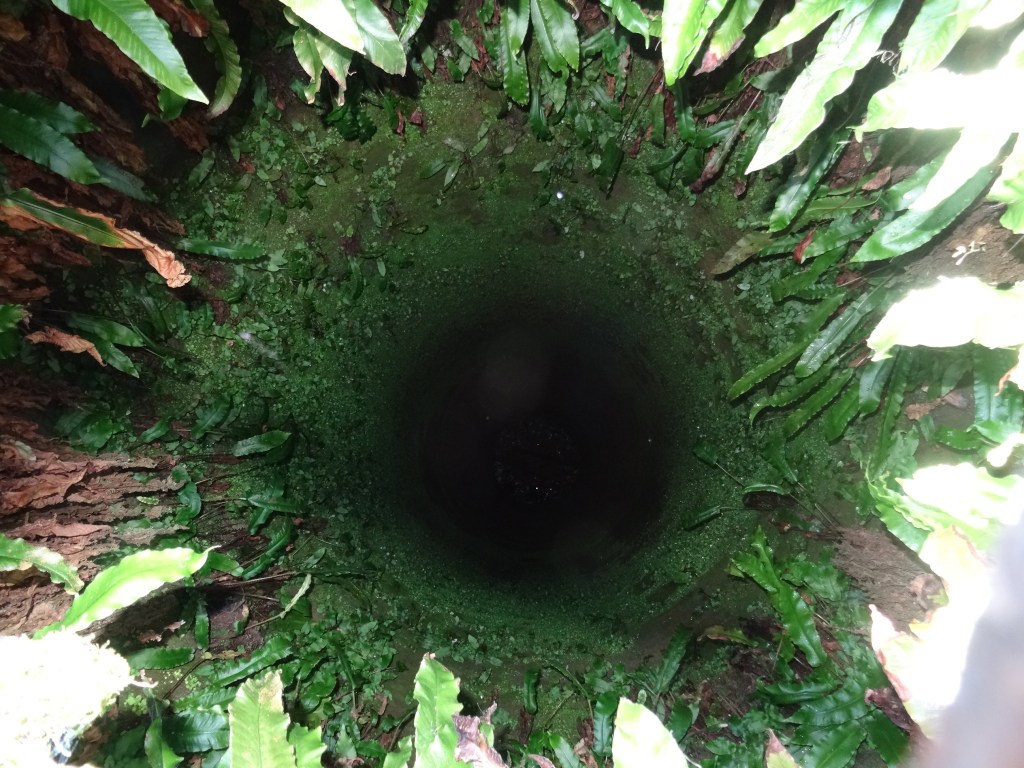 This image has an empty alt attribute; its file name is dsc02529.jpg