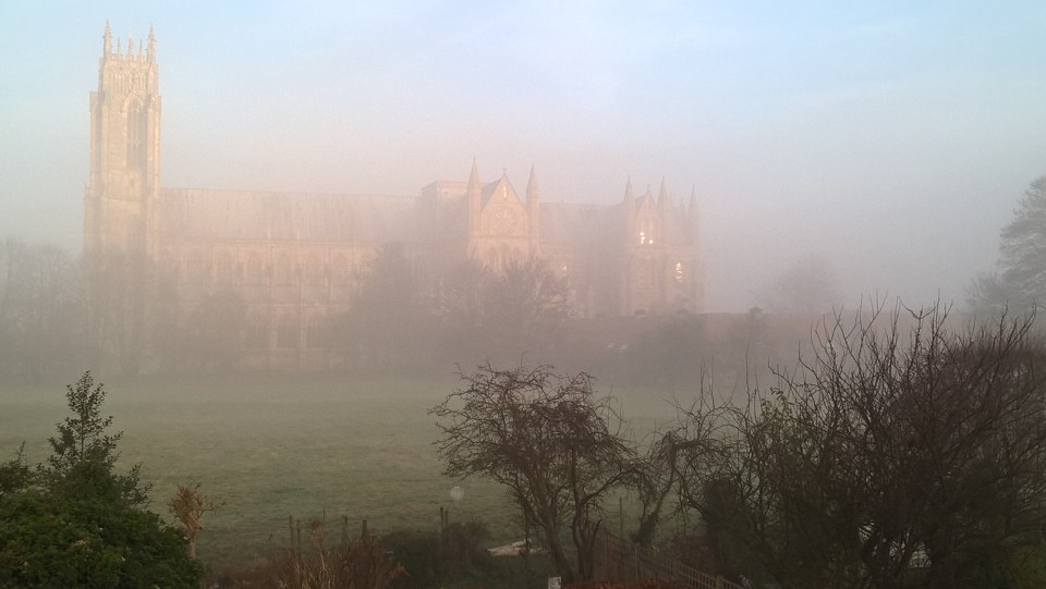 Use 17 syllables to clear your mind.