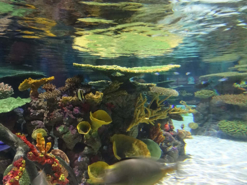 This image has an empty alt attribute; its file name is dsc03138.jpg